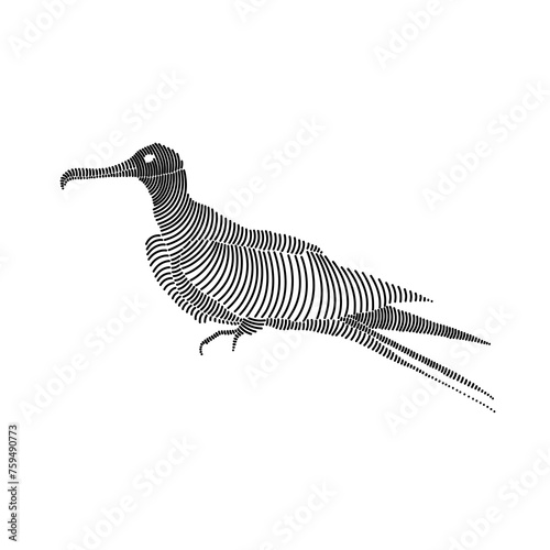 Simple line art illustration of a frigatebird 1