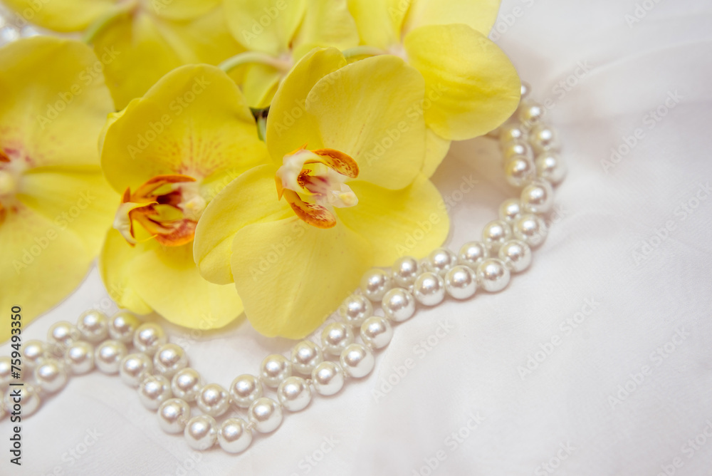 The branch of yellow orchids on white fabric background
The branch of yellow orchids on white fabric background