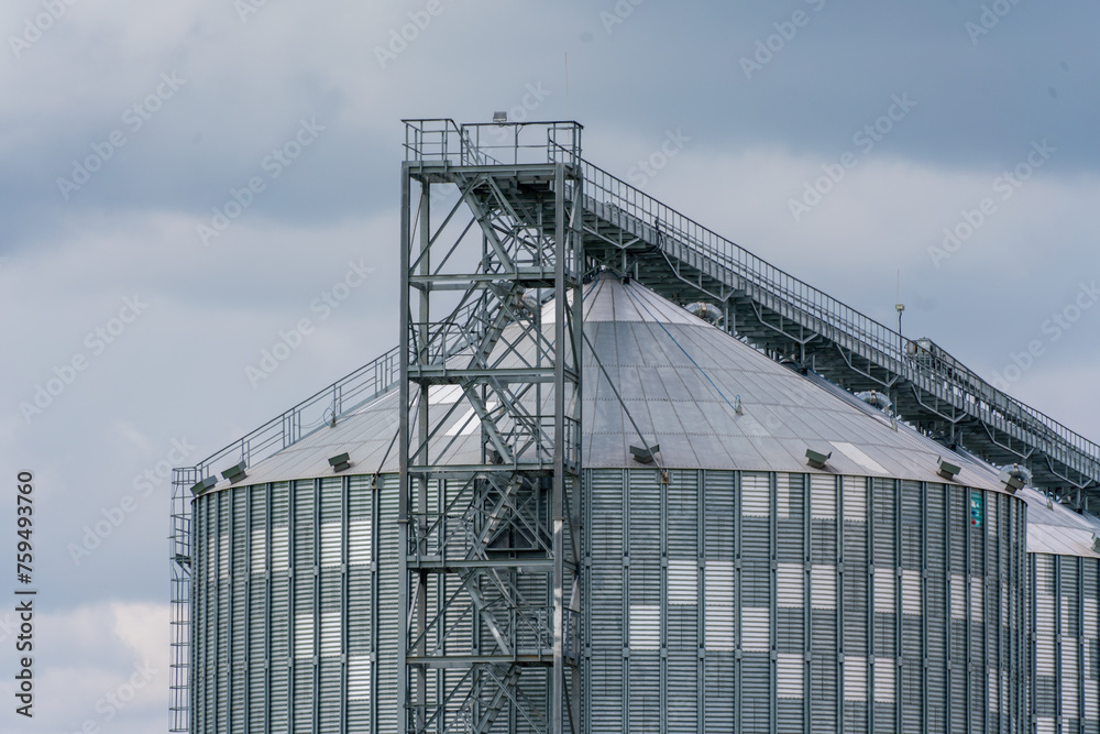 Granary elevator, silver silos on agro manufacturing plant for processing drying cleaning and storage of agricultural products, flour, cereals and grain. Large iron barrels of grain.