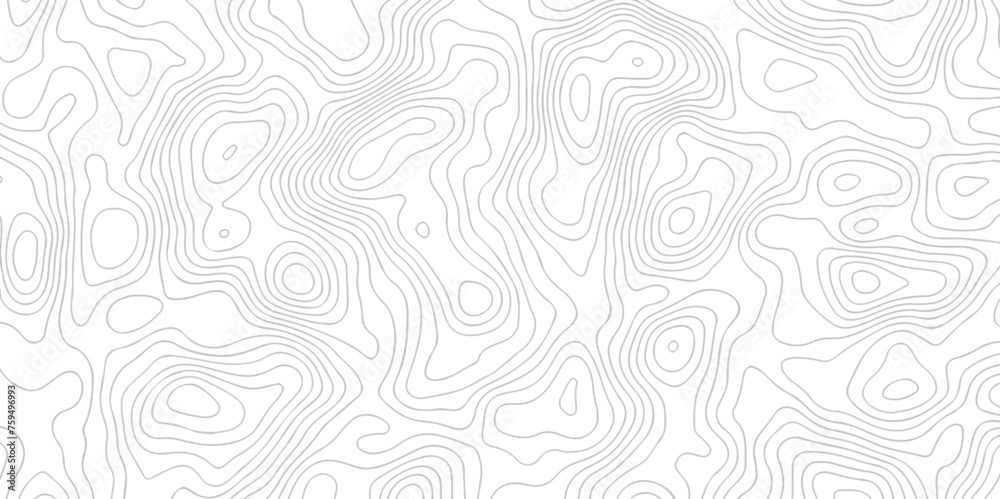 Lines map seamless topographic contour lines vector  pattern. Geographic map and topographic contours map background. Vector illustration. White wave paper reliefs.