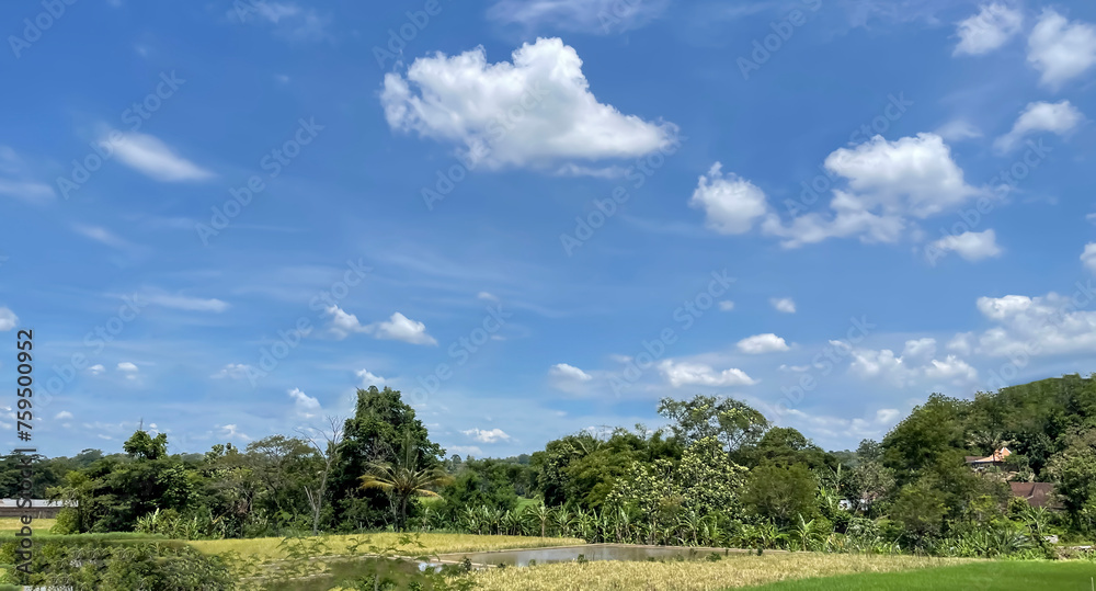 beautiful view of landscape and green view with blue sky and white cloud beautiful view of landscape and green view with blue sky and white cloud