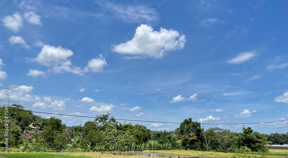 beautiful view of landscape and green view with blue sky and white cloud beautiful view of landscape and green view with blue sky and white cloud