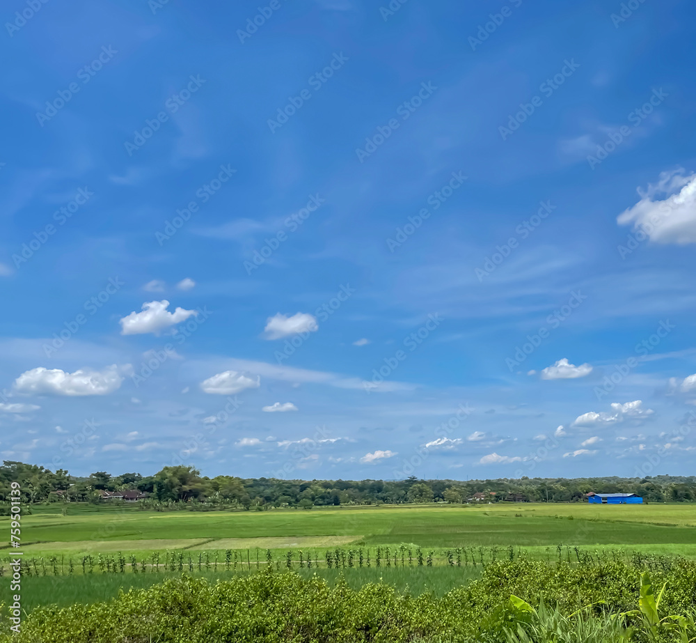 beautiful view of landscape and green view with blue sky and white cloud beautiful view of landscape and green view with blue sky and white cloud