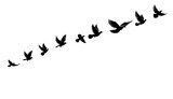 dove birds or pigeons group flight silhouette horizontal  vector illustration on white background