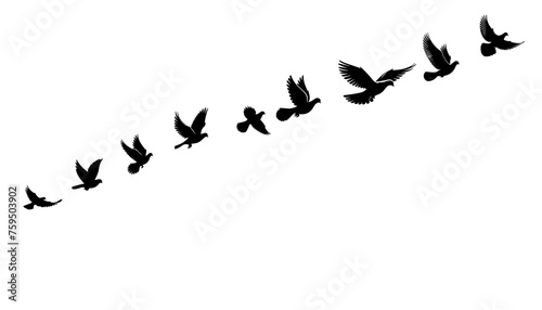 dove birds or pigeons group flight silhouette horizontal  vector illustration on white background