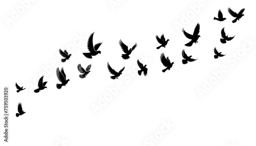 dove birds or pigeons group flight silhouette horizontal vector illustration on white background