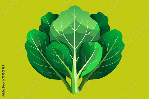 collard greens vegetable background