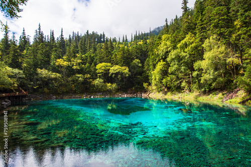 Beautiful view of clear lake at Pearl Beach in Jiuzhaigou, Sichuan, China