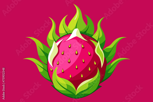 dragon fruit background is
