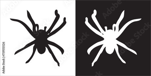 Illustration vector graphics of spider icon