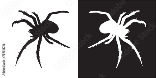 Illustration vector graphics of spider icon © Sutari