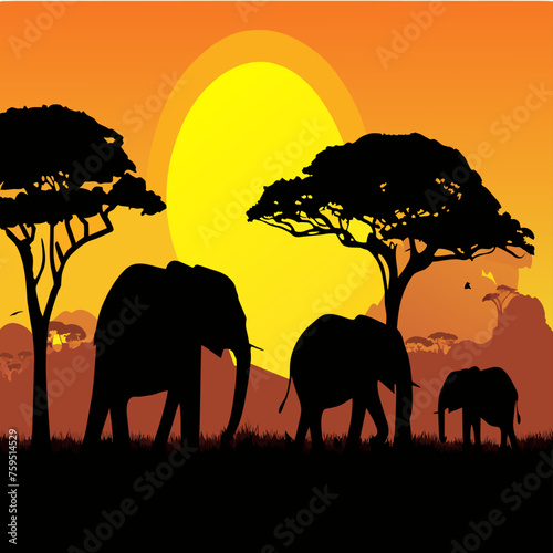 elephants cute background is tree
