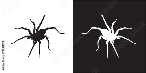 Illustration vector graphics of spider icon