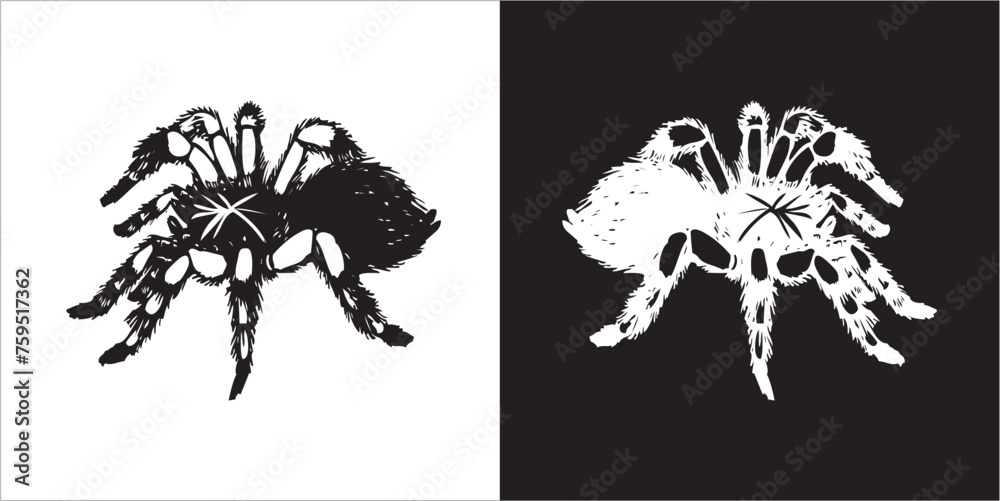 Fototapeta premium Illustration vector graphics of spider icon