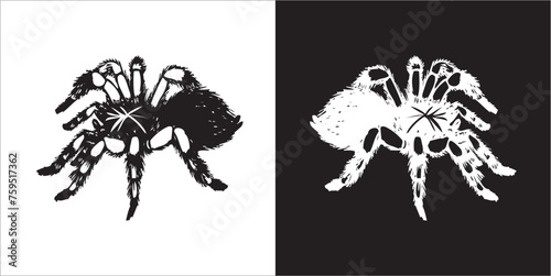 Illustration vector graphics of spider icon