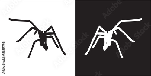 Illustration vector graphics of spider icon