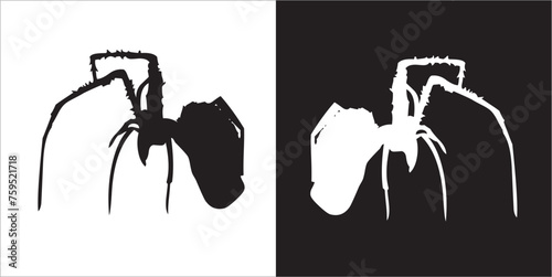 Illustration vector graphics of spider icon