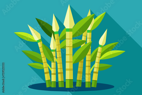 bamboo shoots vegetable background