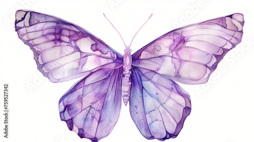 Violet butterfly on isolated white background watercolor