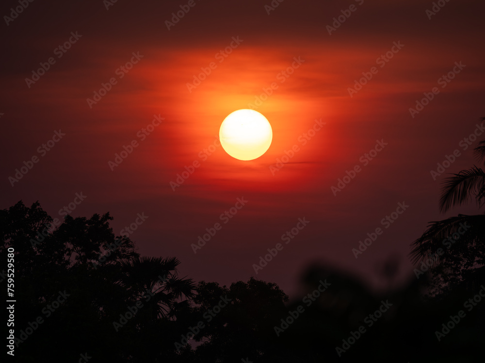 White Sun Shining and The Silhouette Trees Below White Sun Shining and The Silhouette Trees Below