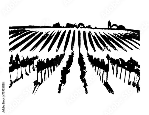 Vineyard with Grape Field. Background for Wine label design. Vector Tuscany Landscape with house and wineyard in vintage style
