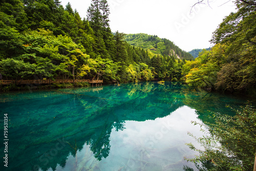 Beautiful view of the blue lake of Wolong Sea in Jiuzhaigou  Sichuan  China