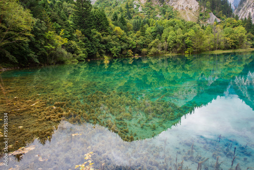 Beautiful view of the blue lake of Wolong Sea in Jiuzhaigou  Sichuan  China