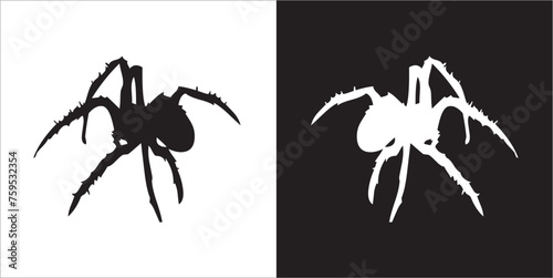 Illustration vector graphics of spider icon
