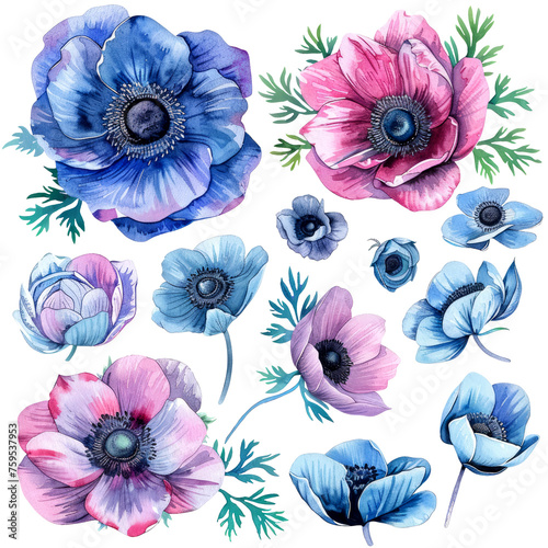 Assorted watercolor flowers in pink and blue. Collection of watercolor painted flowers in shades of pink and blue with green foliage isolated on white background. Botanical illustration concept
