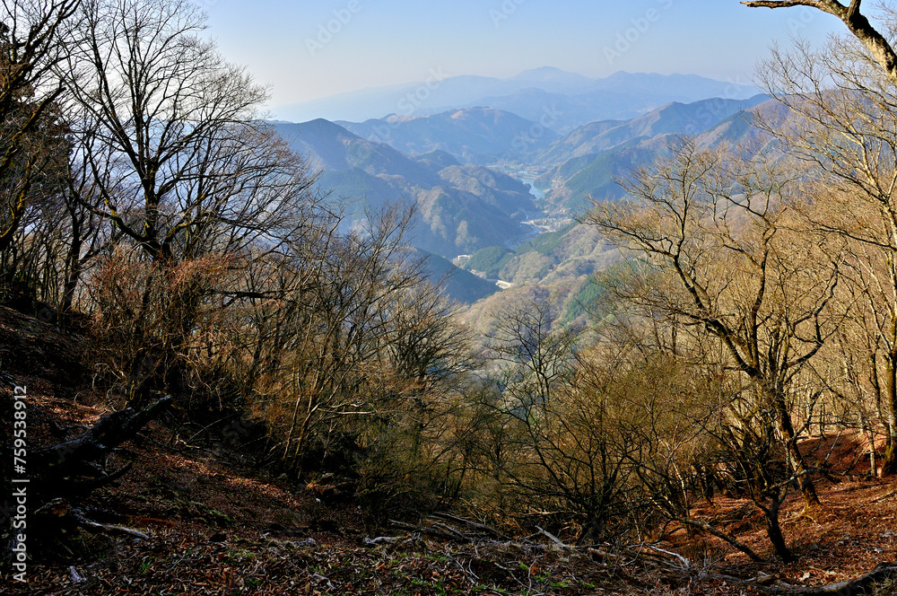 春の西丹沢 箒沢権現山の山頂より丹沢湖方面を望む
春の西丹沢 箒沢権現山の山頂より丹沢湖方面を望む