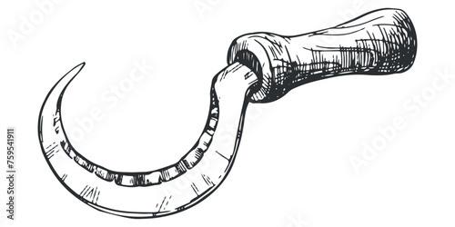 Linear ink drawing of sickle icon. Vector sickle for cutting herb harvest in vintage engraving technique isolated on white background. An ancient rural instrument. photo