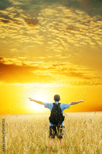 Man in yellow wheat meadow