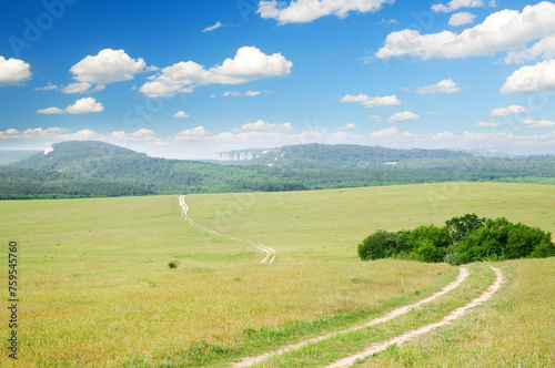 Lane in meadow and deep blue sky.