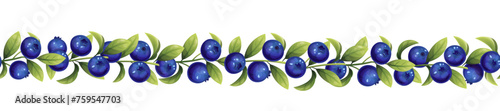Seamless border of blueberry twigs and green leaves. Botanical illustration for decoration, design, tape.