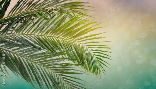 Palm Sunday Glow  Gradient Background in Reverent Hues
