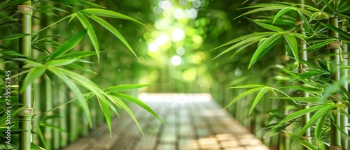  an image of a bamboo forest with the sun shining down on the bamboo floor and the bamboo trees in the background. photo