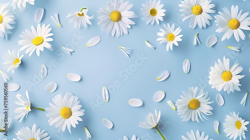 Floral frame background of Plain light blue paper structure background with blank copy space in the middle, on top of the background are smller and bigger daisy blossoms scatterd arround