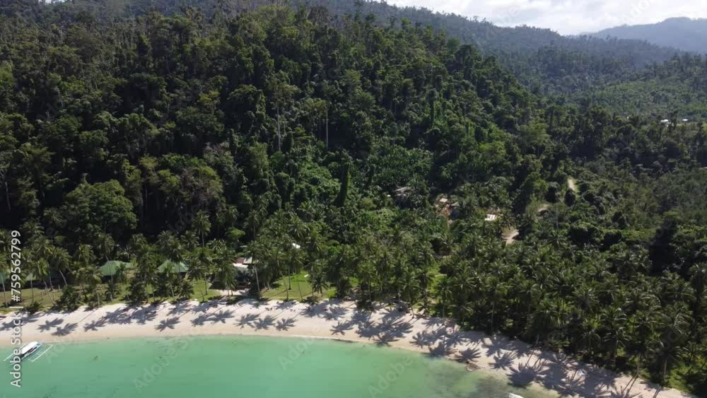 Aerial video over the coconut forests and beaches of Palawan Aerial video over the coconut forests and beaches of Palawan