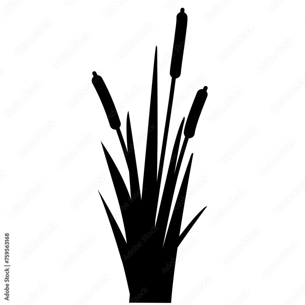 Fototapeta premium Weed Lake Grass Sillhouette