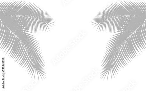 Palm leaf shadow overlay effect. background with tropical leaves shadows