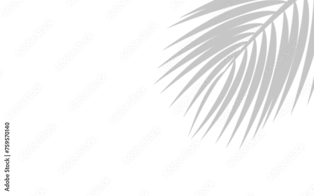 Palm leaf shadow overlay effect. background with tropical leaves shadows Palm leaf shadow overlay effect. background with tropical leaves shadows