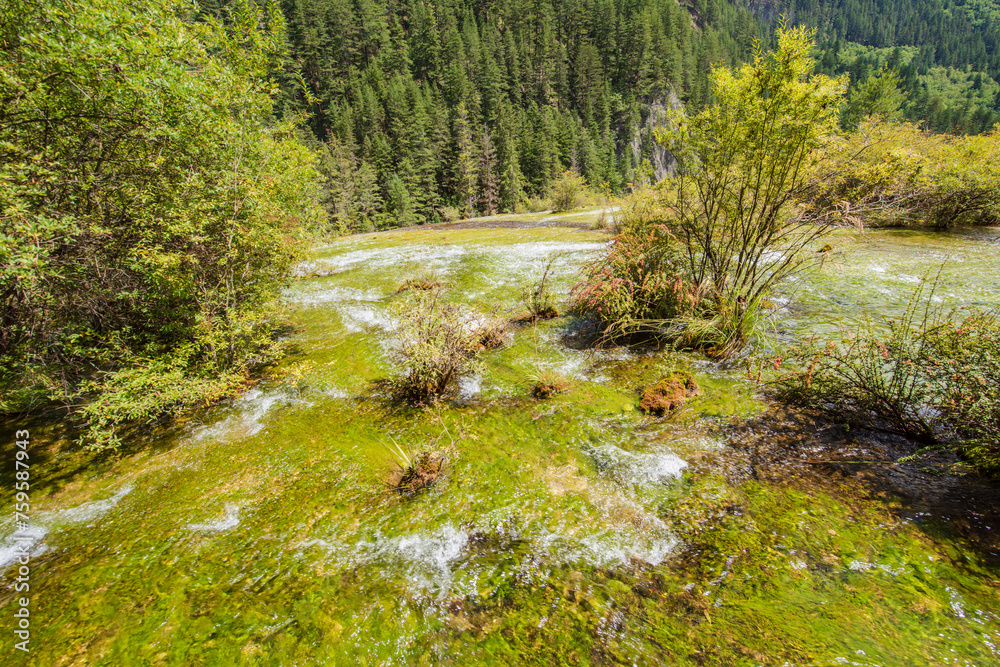 Beautiful scenery of mountains and flowing water in Jiuzhaigou Valley, Sichuan, China Beautiful scenery of mountains and flowing water in Jiuzhaigou Valley, Sichuan, China