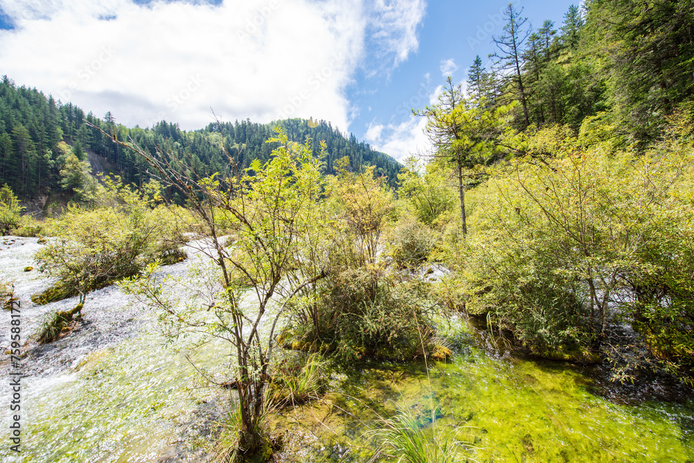 Beautiful scenery of mountains and flowing water in Jiuzhaigou Valley, Sichuan, China Beautiful scenery of mountains and flowing water in Jiuzhaigou Valley, Sichuan, China