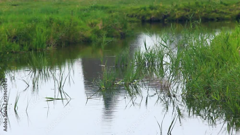Molino de viento holandés centenario en funcionamiento reflejado en el agua de un canal con lluvia Molino de viento holandés centenario en funcionamiento reflejado en el agua de un canal con lluvia