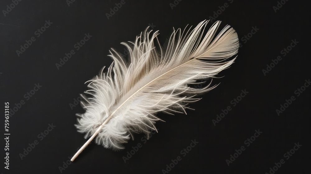 Obraz premium Beautiful colorful magical bird feathers isolated on black background. Generative AI
