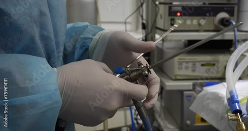 A veterinarian adjusts an endoscopic instrument before examining a cat's nasal cavity. In veterinary surgery, a veterinarian performs a rhinoscopy with an endoscopic instrument.
