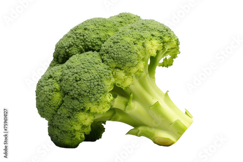 Head of Broccoli on White Background. on a White or Clear Surface PNG Transparent Background.