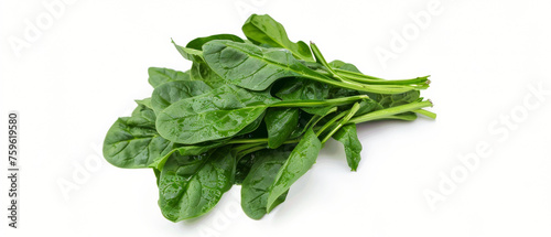 Fresh, vibrant spinach leaves with dew, signifying organic and nutritious food choices.