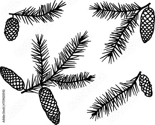 Hand-drawn vector illustration set of Spruce branches. Christmas tree branch with cones. Isolated SVG for Cricut