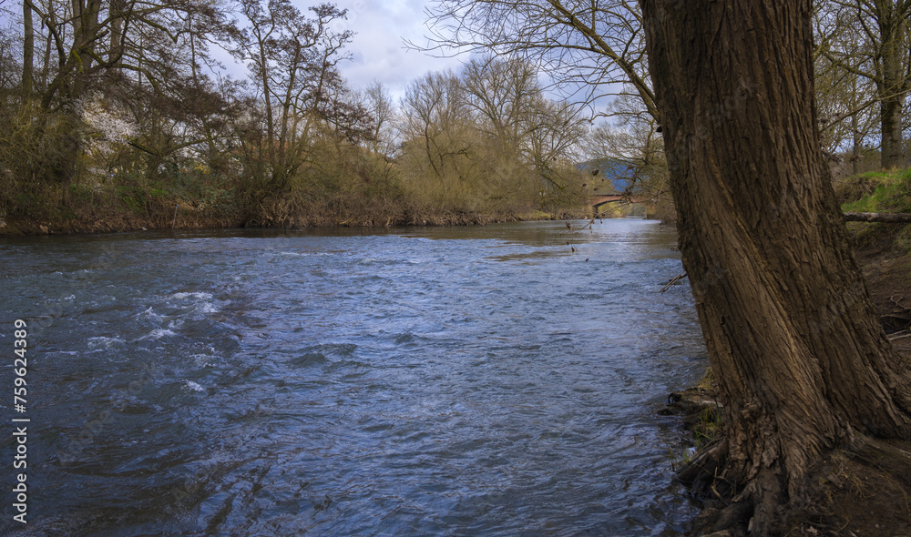 Der Fluß Lahn in Marburg, Uferzone Wurzeln und Bäume Der Fluß Lahn in Marburg, Uferzone Wurzeln und Bäume